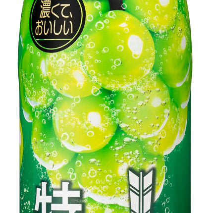 Asahi Mitsuya Rich Juice Soda 500ml