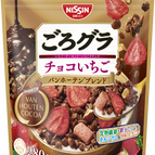 Chocolate Strawberry Van Houten Blend 280g