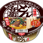 Pork Udon