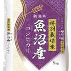 KOSHIHIKARI Premium 5kg